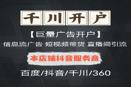 竞价推广实战：经典案例深度解析